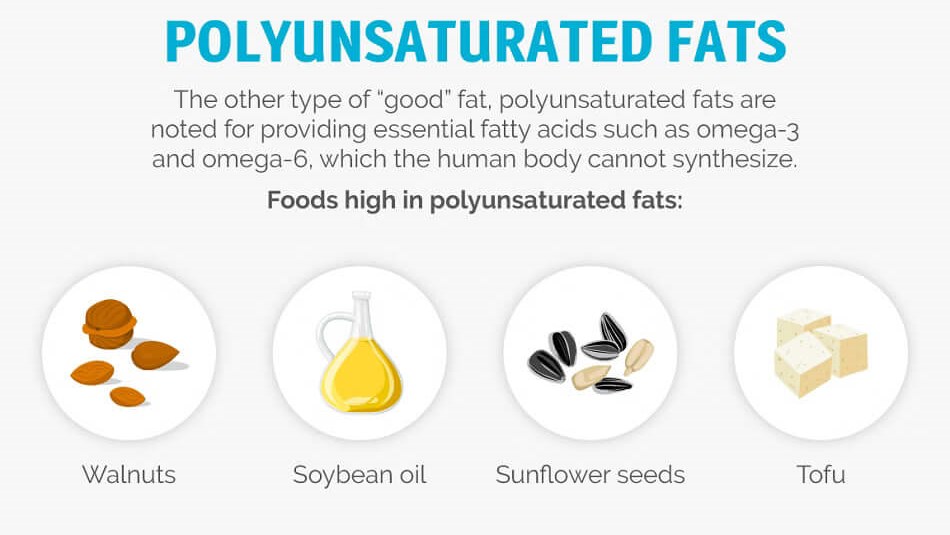 types of fat infographic